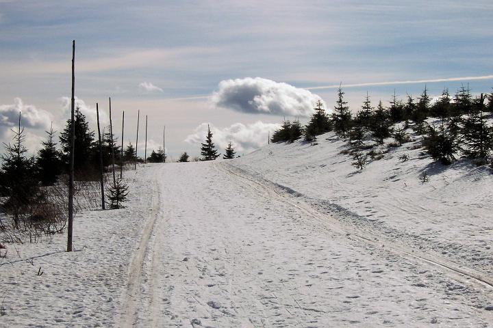 100_5631.JPG - Sněhu sice nebylo nejvíc, ale lyžařské stopy nebyly špatné.