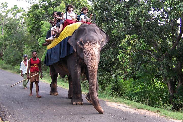 100_0914.JPG - A slona, který veze turisty.